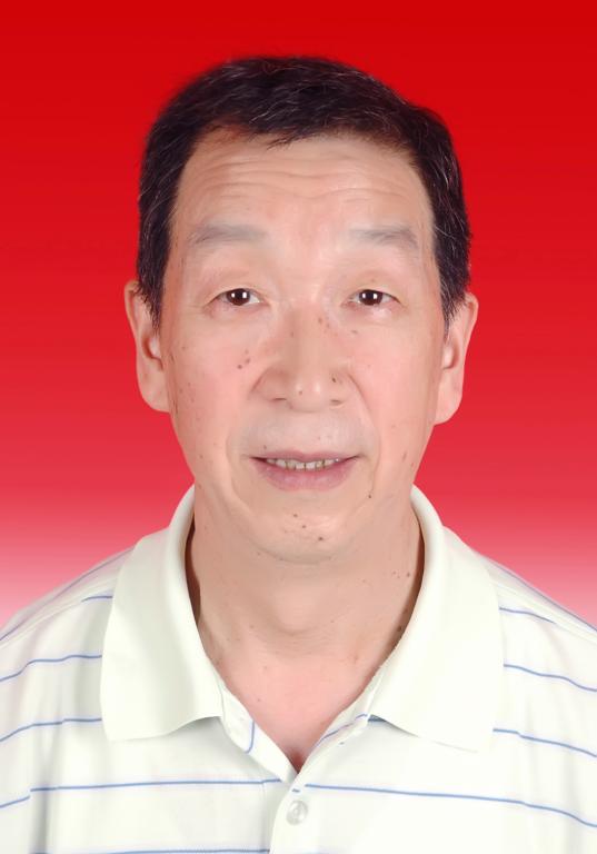 二岗教授-西工大动力与能源学院