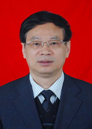 教授-西工大动力与能源学院